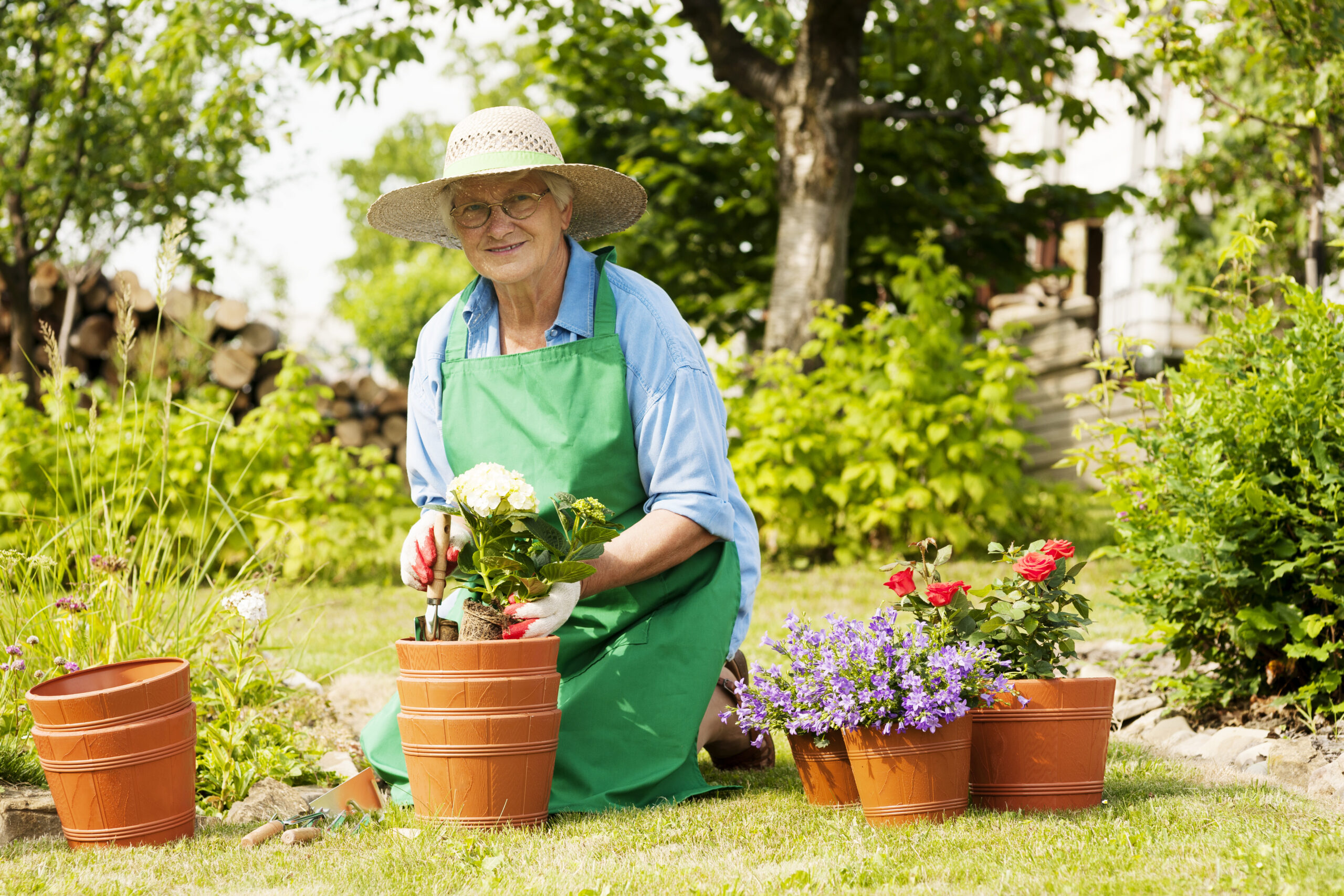 Smiling elderly woman gardening, enjoying an active and healthy lifestyle.